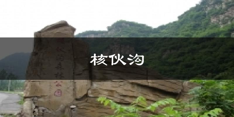 核伙沟气温