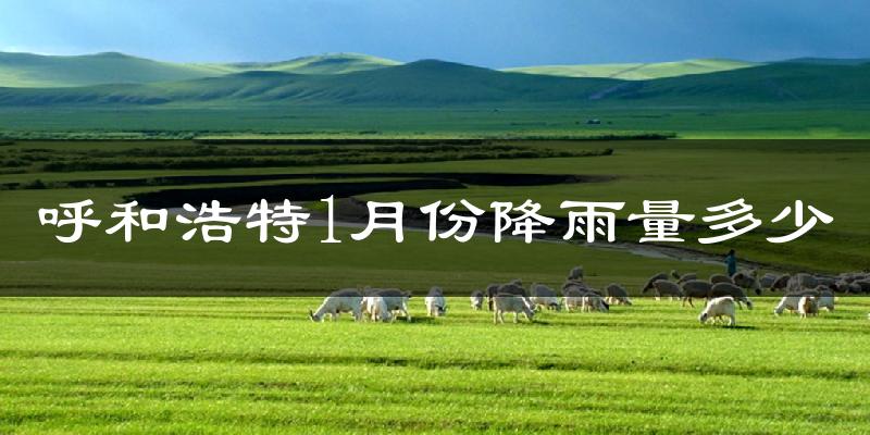 呼和浩特1月份降雨量多少?呼和浩特一月下雨多吗?