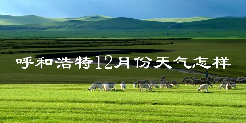呼和浩特12月份天气怎样?呼和浩特十二月冷吗?