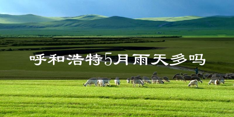 呼和浩特5月雨天多吗?