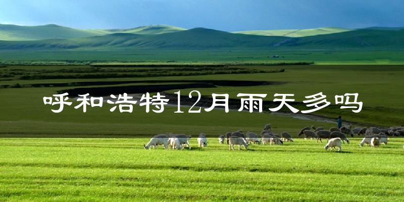 呼和浩特12月雨天多吗?
