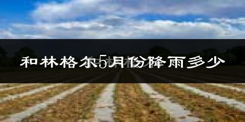 和林格尔5月份降雨多少?