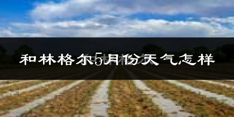和林格尔县5月份天气如何?很热吗?