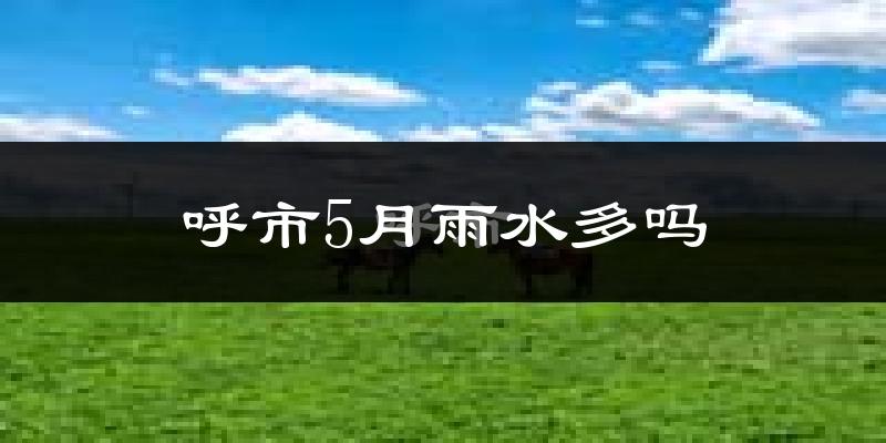 呼市5月雨水多吗?