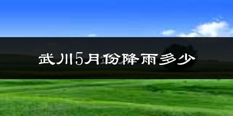 武川5月份降雨多少?