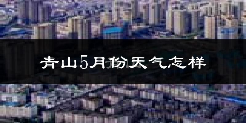 青山5月份天气怎样?青山五月冷吗?