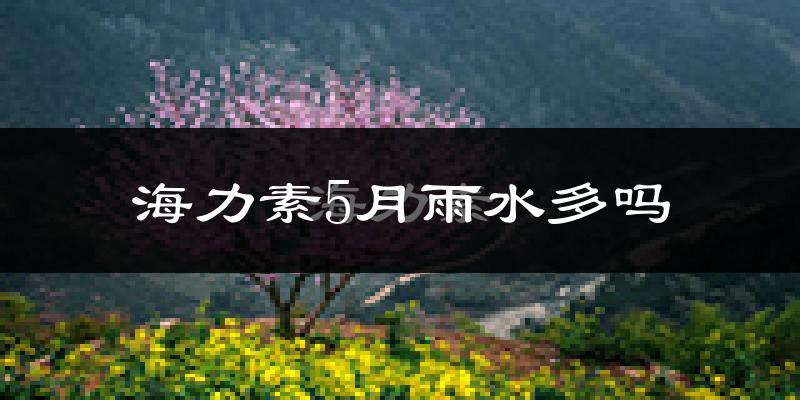 海力素5月雨水多吗?