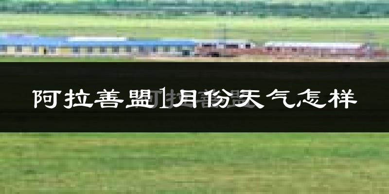 阿拉善盟1月份天气如何?很冷吗?