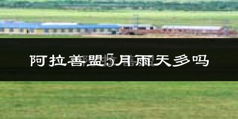 阿拉善盟5月雨天多吗?