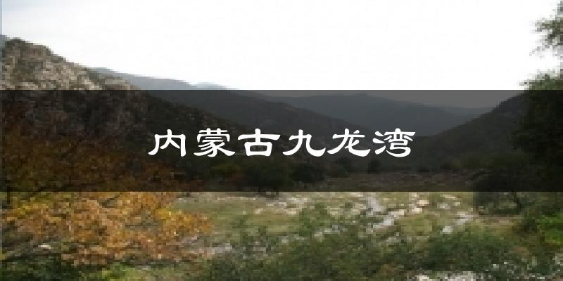 内蒙古九龙湾天气预报十五天