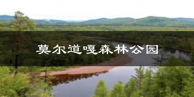 莫尔道嘎森林公园天气预报十五天