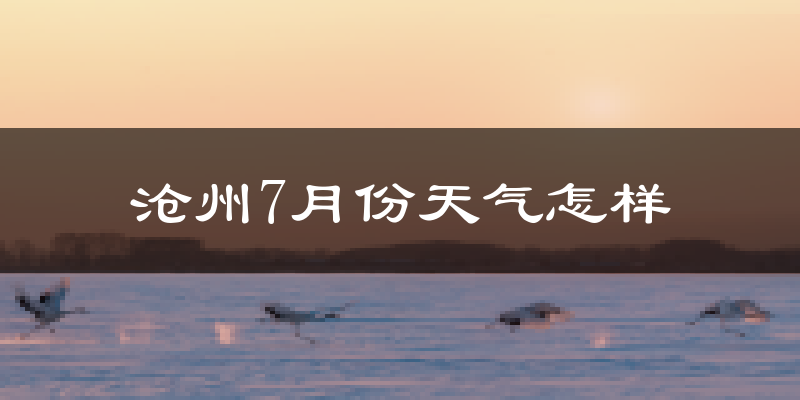 沧州市7月份天气如何?很热吗?