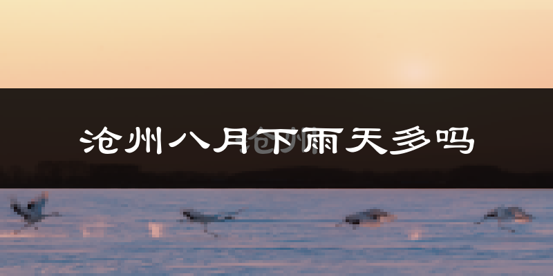 沧州八月下雨天多吗?沧州8月份降雨量多少?