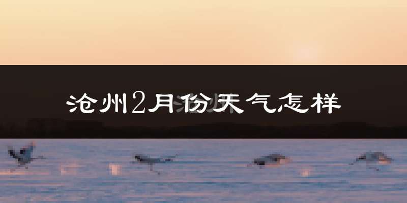 沧州市2月份天气如何?很冷吗?