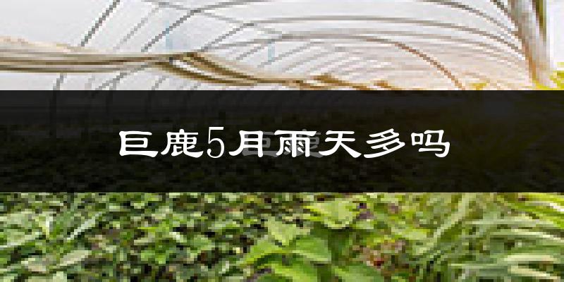 巨鹿5月雨天多吗?