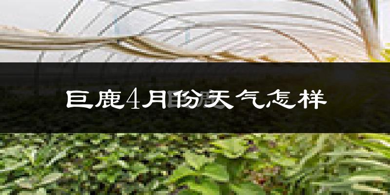 巨鹿县4月份天气如何?冷热情况怎么样?