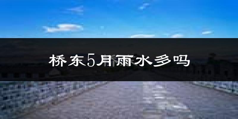 桥东5月雨水多吗?