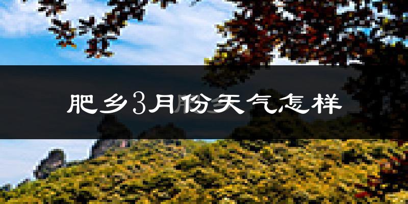 肥乡县3月份天气如何?冷吗?过去两年3月天气数据分析