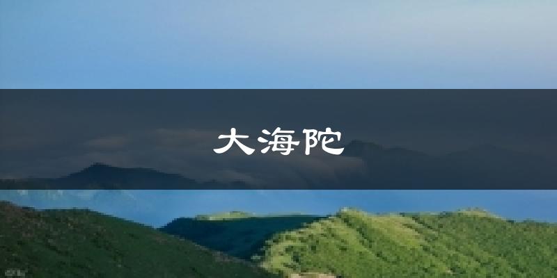 大海陀天气预报十五天