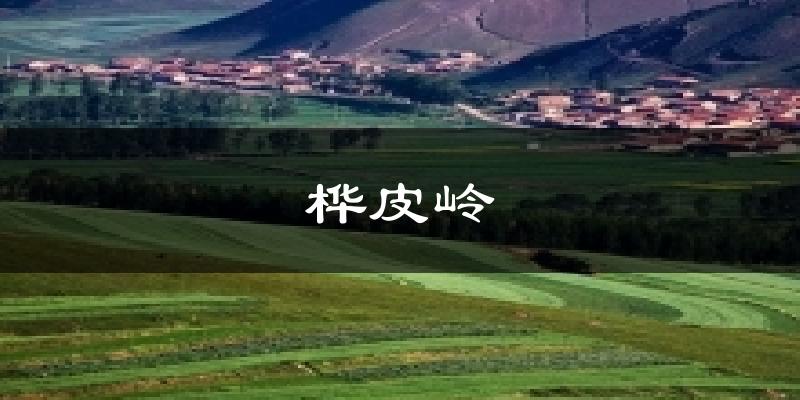 桦皮岭天气预报十五天