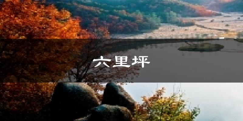 六里坪天气预报十五天