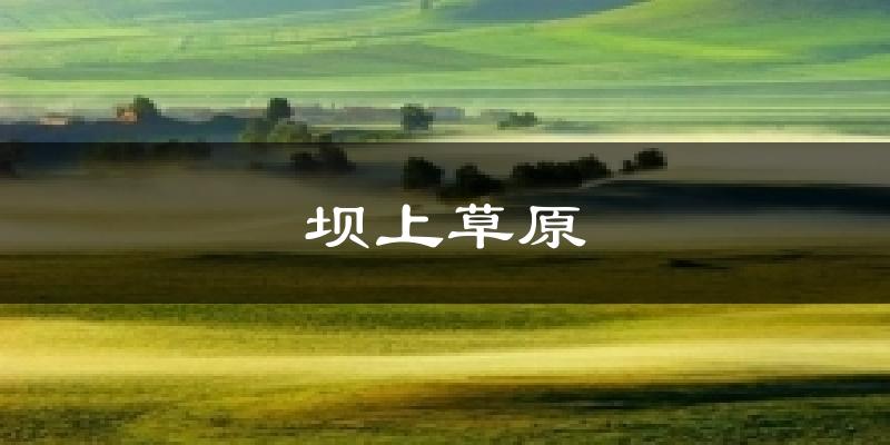 坝上草原天气预报十五天