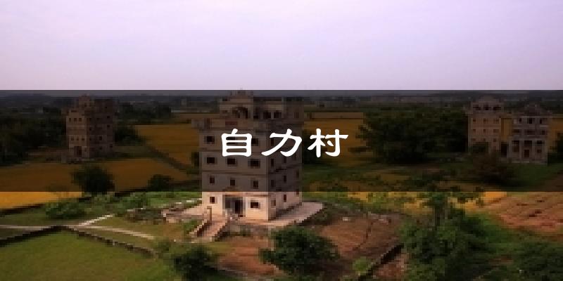 自力村天气预报十五天