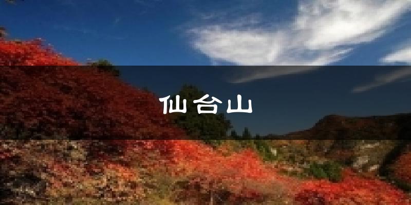 仙台山天气预报十五天