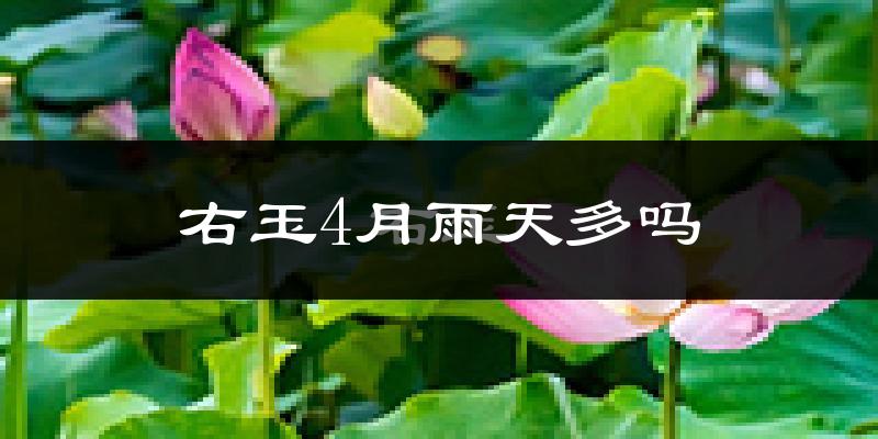 右玉4月雨天多吗?