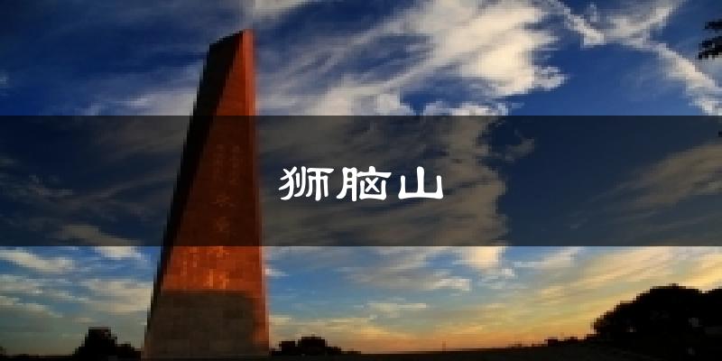 狮脑山天气预报十五天