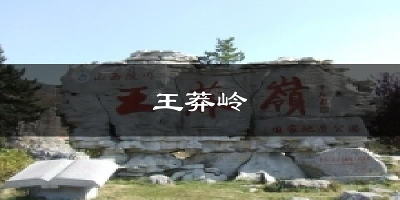王莽岭天气预报十五天