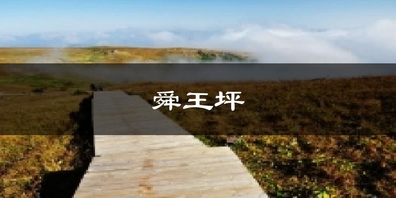 舜王坪天气预报十五天