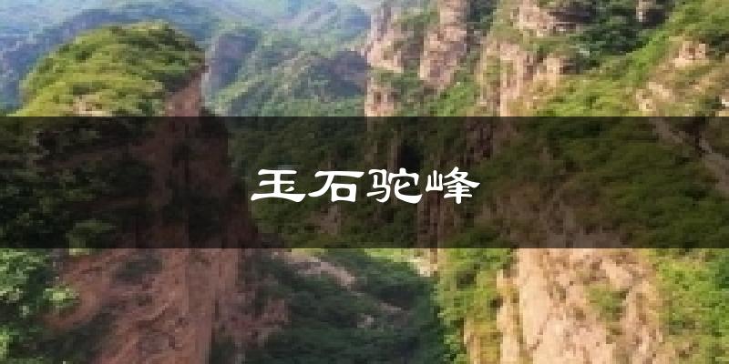 玉石驼峰天气预报十五天