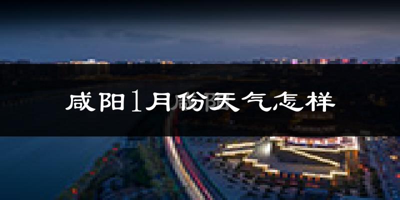 咸阳市1月份天气如何?很冷吗?