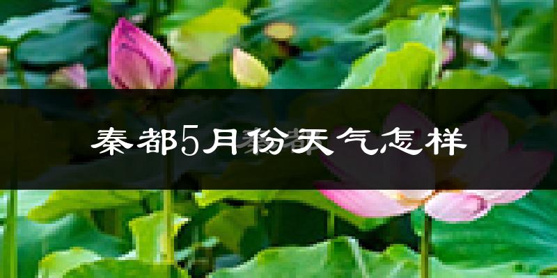 秦都5月份天气怎样?秦都五月冷吗?
