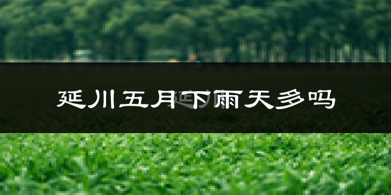 延川五月下雨天多吗?延川5月份降雨量多少?