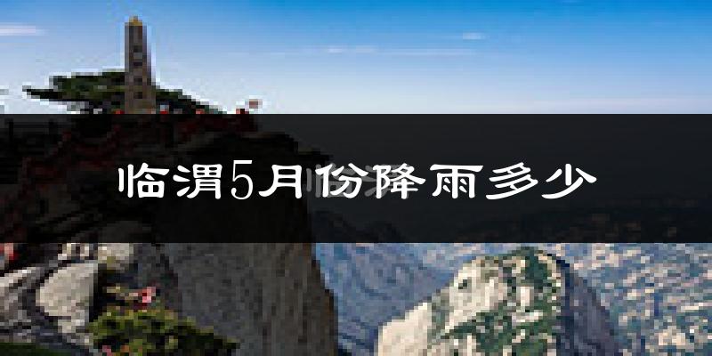 临渭5月份降雨多少?