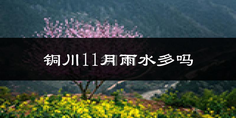 铜川11月雨水多吗?