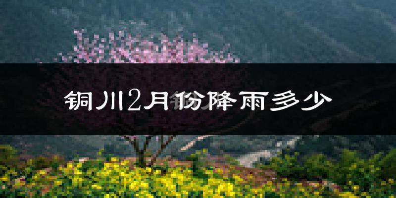 铜川2月份降雨多少?