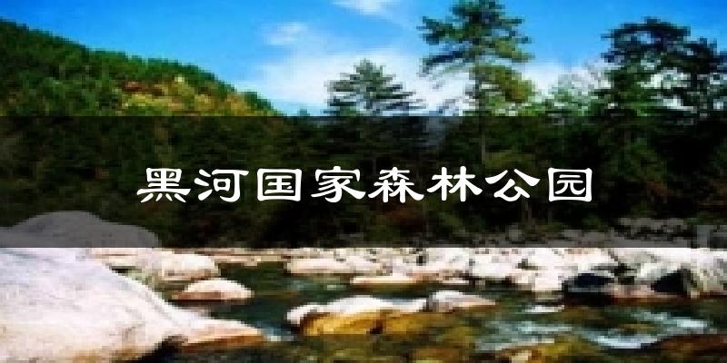 黑河国家森林公园天气预报十五天