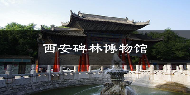 西安碑林博物馆天气预报十五天