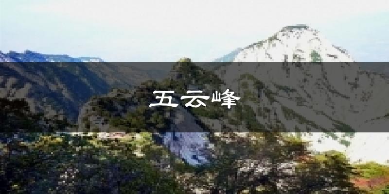 五云峰天气预报十五天