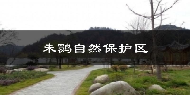 朱鹮自然保护区天气预报十五天