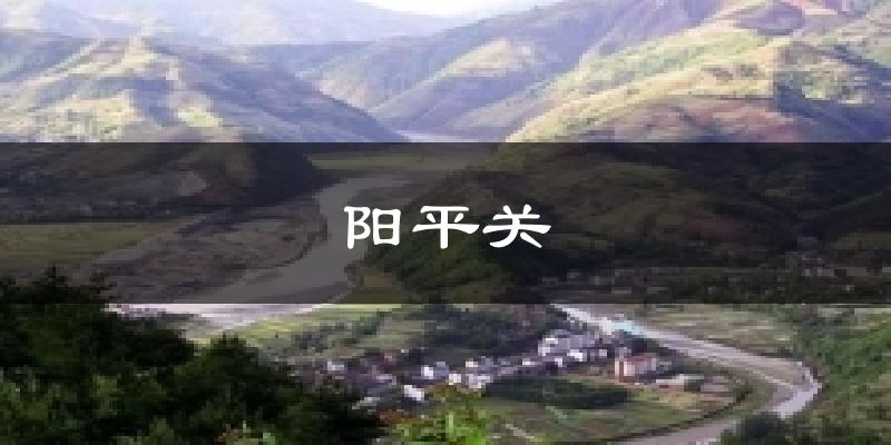 阳平关天气预报十五天