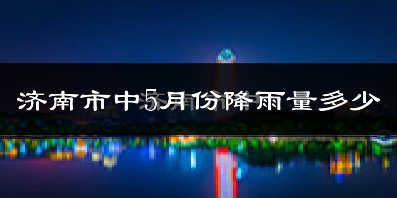 济南市中5月份降雨量多少?济南市中五月下雨多吗?