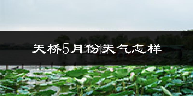 天桥5月份天气怎样?天桥五月冷吗?