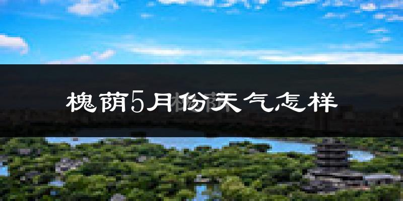 槐荫5月份天气怎样?槐荫五月冷吗?