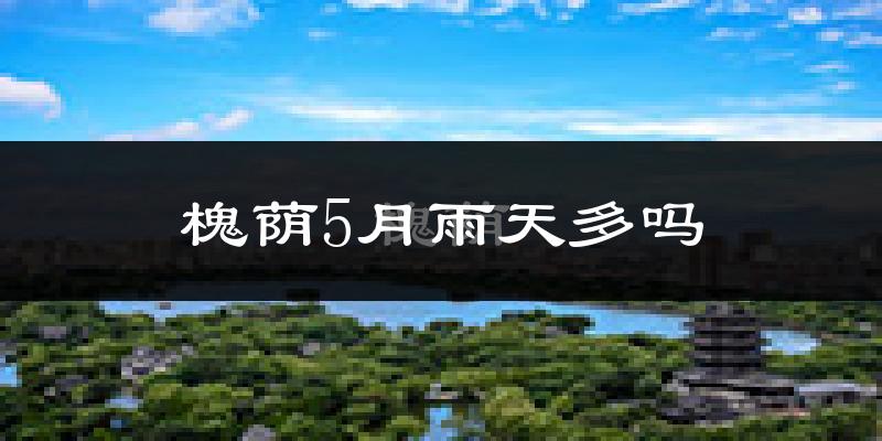 槐荫5月雨天多吗?