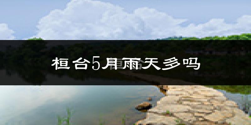桓台5月雨天多吗?