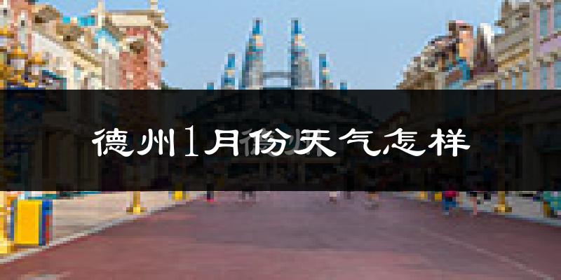 德州1月份天气如何?很冷吗?